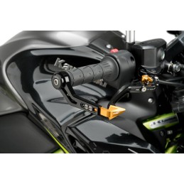 DUCATI 1199 PANIGALE R 15' - 17' PROTECTOR MANETA FRENO