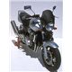 HONDA CB 900 F HORNET 2002 - 2007 CÚPULA NASTY 29 CM