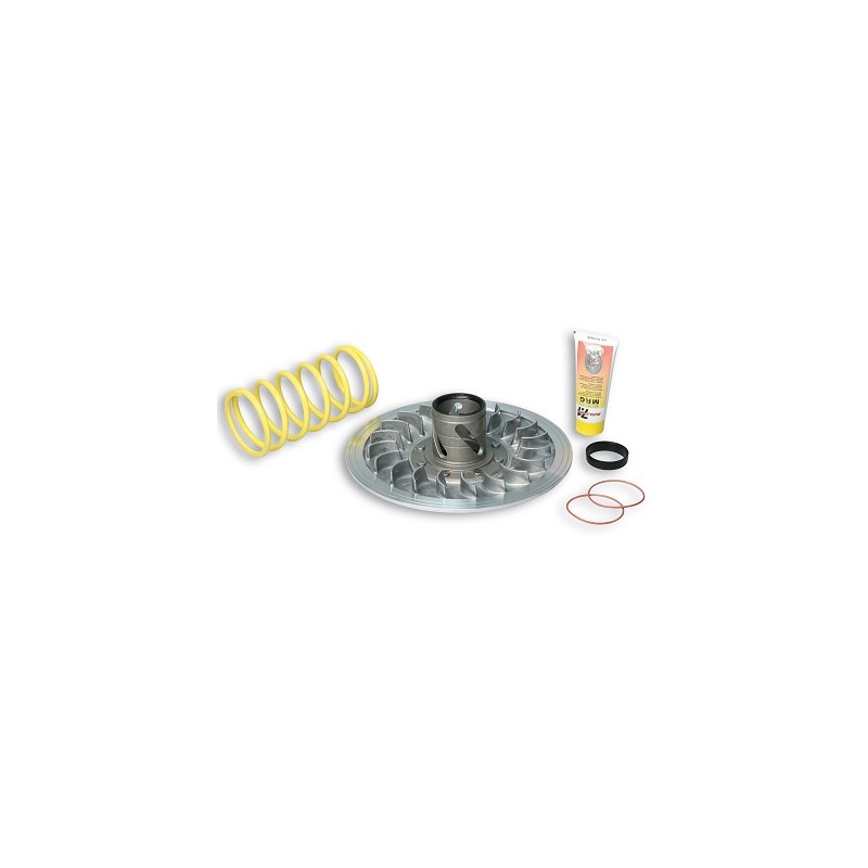 CORRECTEUR DE COUPLE MAXISCOOTER MALOSSI ADAPT. YAMAHA T-MAX 500CC 2001-11 ( 6113495 ) CORRECTEUR DE COUPLE MAXISCOOTER MALOSSI ADAPT. YAMAHA T-MAX 500CC 2001-11 ( 6113495 )