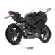 KAWASAKI NINJA 300 2013 - 2016 GP BLACK MIVV