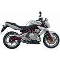 KAWASAKI ER-6N / F 2005 - 2011 OVAL CARBONO MIVV