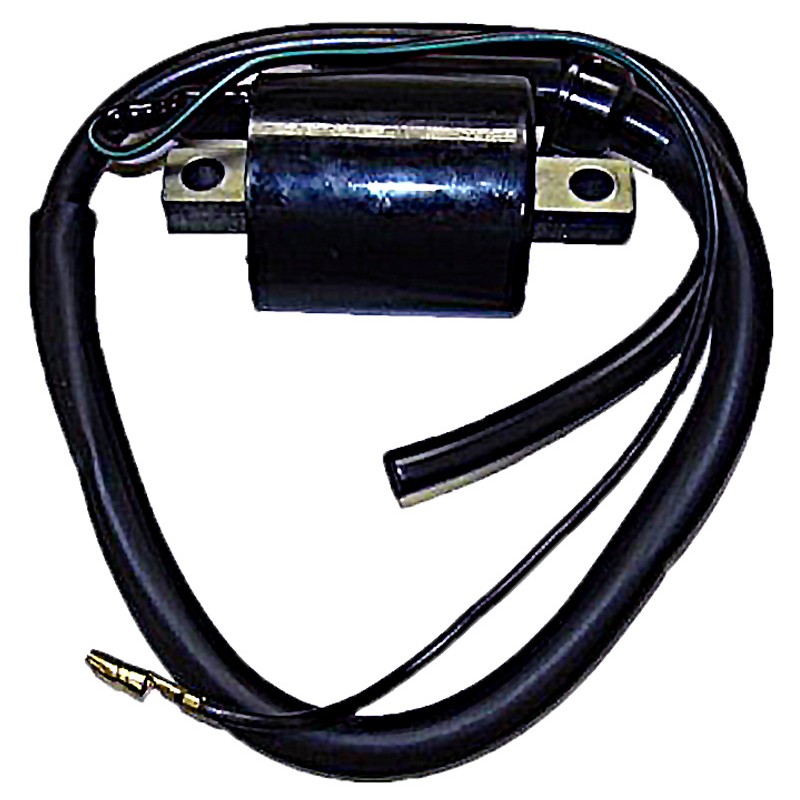 E-TON SCOOTER - ATV 50 Beamer III 2T (07/09 - PN2D) BOBINA DE ALTA E-TON SCOOTER - ATV 50 Beamer III 2T (07/09 - PN2D) BOBINA DE ALTA