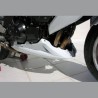 Z1000 07'-09' QUILLA MOTOR ERMAX