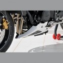 TRIUMPH STREET TRIPLE 675 R 12' QUILLA ERMAX