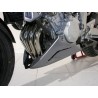 FZ6/FZ6 S2 04'-10' QUILLA MOTOR ERMAX