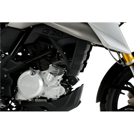 BMW G310GS 2017-2022 PROTECTORES DE MOTOR R19