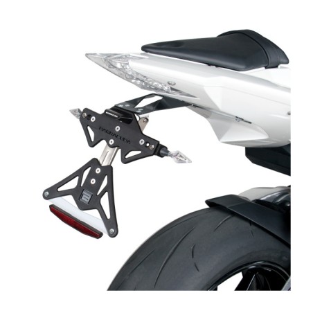 BMW S 1000R/S 1000RR 2009-2019 PORTAMATRICULAS