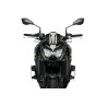 KAWASAKI Z900 20' ALERONES DOWNFORCE NAKED