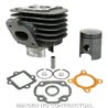 CPI Formula R AC 50 (2008-2008) Cilindro HERT