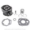 Derbi Senda SM DRD PRO Euro2 50 (2005-2013) Cilindro HERT