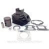 Honda SFX 50 (1995-2001) Cilindro HERT