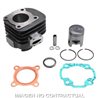 Malaguti F15 Firefox Air Euro2 50 (2005-2006) Cilindro HERT