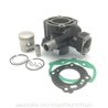 Peugeot Ludix Blaster RS 12 50 (2011-2013) Cilindro HERT