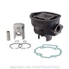 Piaggio NRG MC3 DD 2T LC 50 (2001-2004) Cilindro HERT