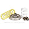 Honda FES Foresight 250 (1997-2006) Variador Malossi Multivar 2000