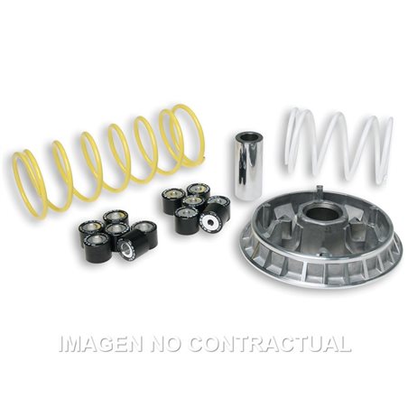 Honda FES Pantheon 2T 125 (1998-2002) Variador Malossi Multivar 2000