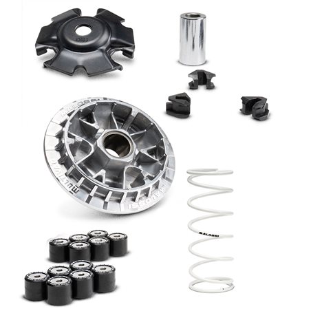 Honda NSS Forza Euro5 125 (2021-2024) Variador Malossi Multivar 2000