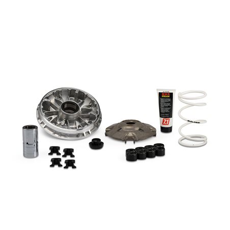 Honda NSS Forza Euro5 350 (2021-2024) Variador Malossi Multivar