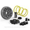 Honda X8RS/X8RX 50 (1999-2000) Variador Malossi Multivar