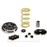 Italjet Formula Lc / Williams 50 (0-0) Variador Malossi Multivar