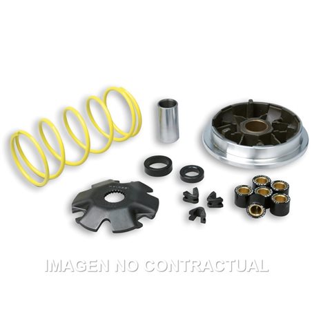 Suzuki UF Estilete 50 (2000-2002) Variador Malossi Multivar
