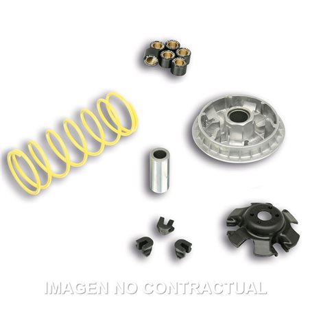SYM GTS Joy Max I ABS 300 (2013-2014) Variador Malossi Multivar