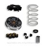 SYM Jet Sport X 2T 50 (2006-2010) Variador Malossi Multivar