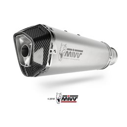 SUZUKI GSX-S 125 2017  DELTA RACE INOX COPA CARBONO LINEA COMPLETA 1x1