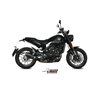 BENELLI LEONCINO 2017 - OVAL CARBONO COPA CARBONO MIVV