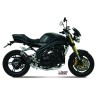 TRIUMPH SPEED TRIPLE 2005 - 2006 GP CARBONO COPA CARBONO MIVV
