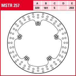 BMW S R Euro5 1000 2021 - 2023 Disco Freno Delantero TRW