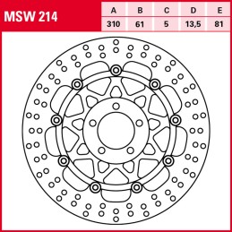 Kawasaki ZR Zephyr 1100 1992 - 1995 Disco Freno Delantero TRW