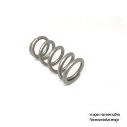 MUELLE AMORTIGUADOR FORMULA MOD (55 X 350)