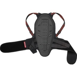 ESPALDERA ALPINESTARS BIONIC BACK
