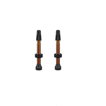 JUEGO VÁLVULAS ALUMINIO WTB TCS (46 MM)