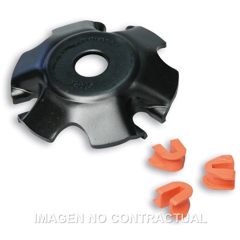 TAPA RAMPAS VARIADOR 5312810 MALOSSI APRILIA SONIC GP LC 50 1997-2003 TAPA RAMPAS VARIADOR 5312810 MALOSSI APRILIA SONIC GP LC 50 1997-2003