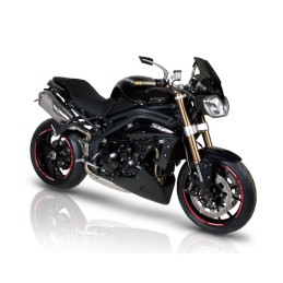 TRIUMPH STREET TRIPLE R 11'-13' CUPULA AEROSPORT