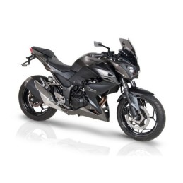 KAWASAKI Z300 16' CUPULA BARRACUDA