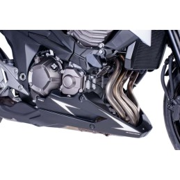 Z800 13' KAWASAKI QUILLA MOTOR