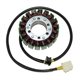 DUCATI HYPERMOTARD EVO SP CORSE ED. 1100 (12) STATOR ELECTROSPORT