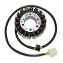 DUCATI HYPERMOTARD EVO SP CORSE ED. 1100 (12) STATOR ELECTROSPORT