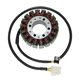 DUCATI MONSTER CITY 750 (99) STATOR ELECTROSPORT