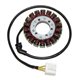 HONDA CBF GT 1000 (08-09) STATOR ELECTROSPORT