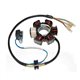 HONDA CRF F 80 (04-09) STATOR ELECTROSPORT