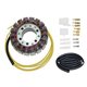 HONDA VFR C MAGNA DELUXE 750 (94-03) STATOR ELECTROSPORT