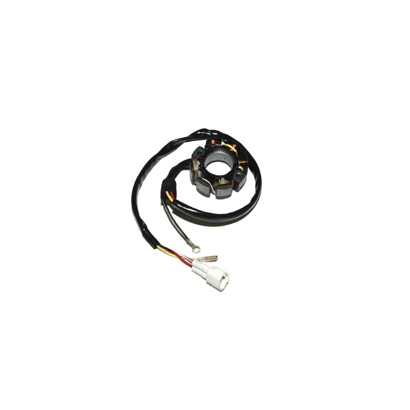 HUSABERG FC 450 (04-05) STATOR ELECTROSPORT HUSABERG FC 450 (04-05) STATOR ELECTROSPORT