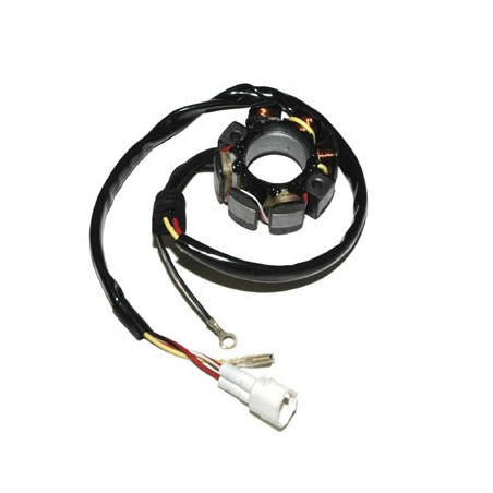 HUSABERG FC 450 (04-05) STATOR ELECTROSPORT