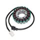 KAWASAKI VN DRIFTER 800 (00-06) STATOR ELECTROSPORT