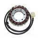 TRIUMPH TT 600 (00-03) STATOR ELECTROSPORT