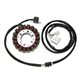 YAMAHA XP T-MAX 500 (04-07) STATOR ELECTROSPORT